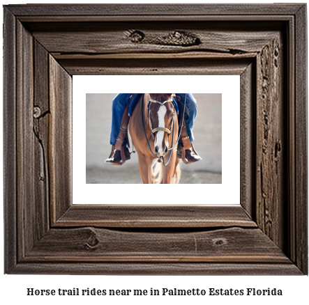 horse trail rides near me in Palmetto Estates, Florida